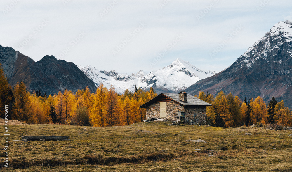 Foliage all'Alpe. e lago Palù, Valmalenco, in autunno