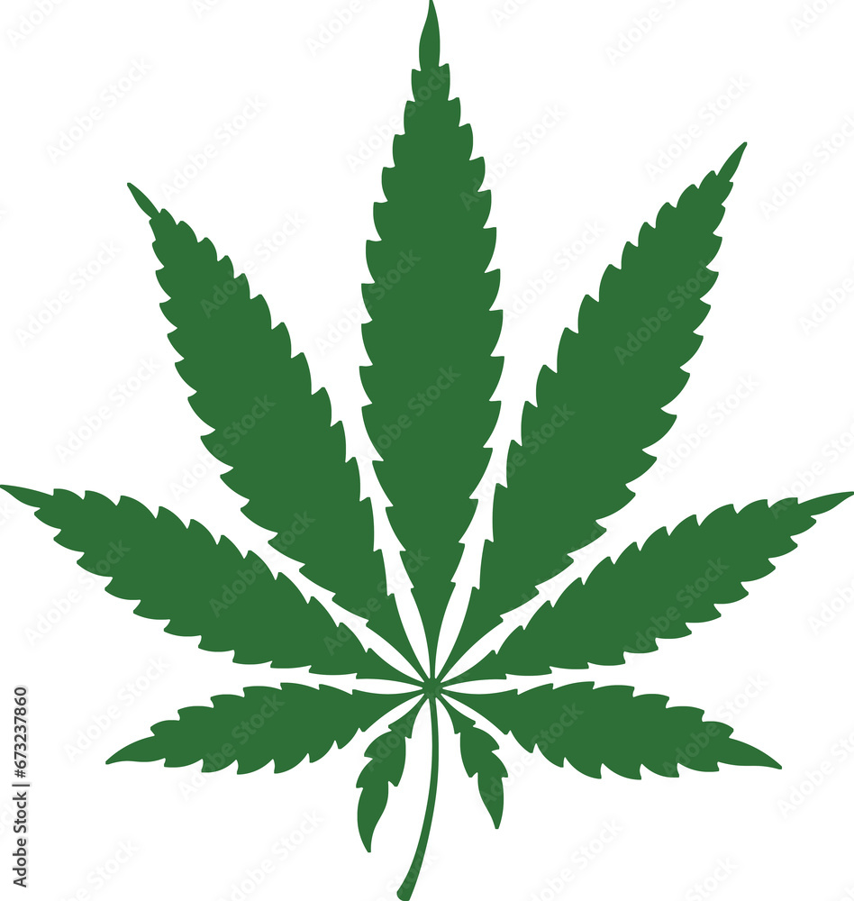 Cannabis leaf illustration clip art. Transparent background hand drawn marihuana icon design icon template blank. Cannabis leaf illustration clip art. Transparent background hand drawn marihuana icon design icon template blank.