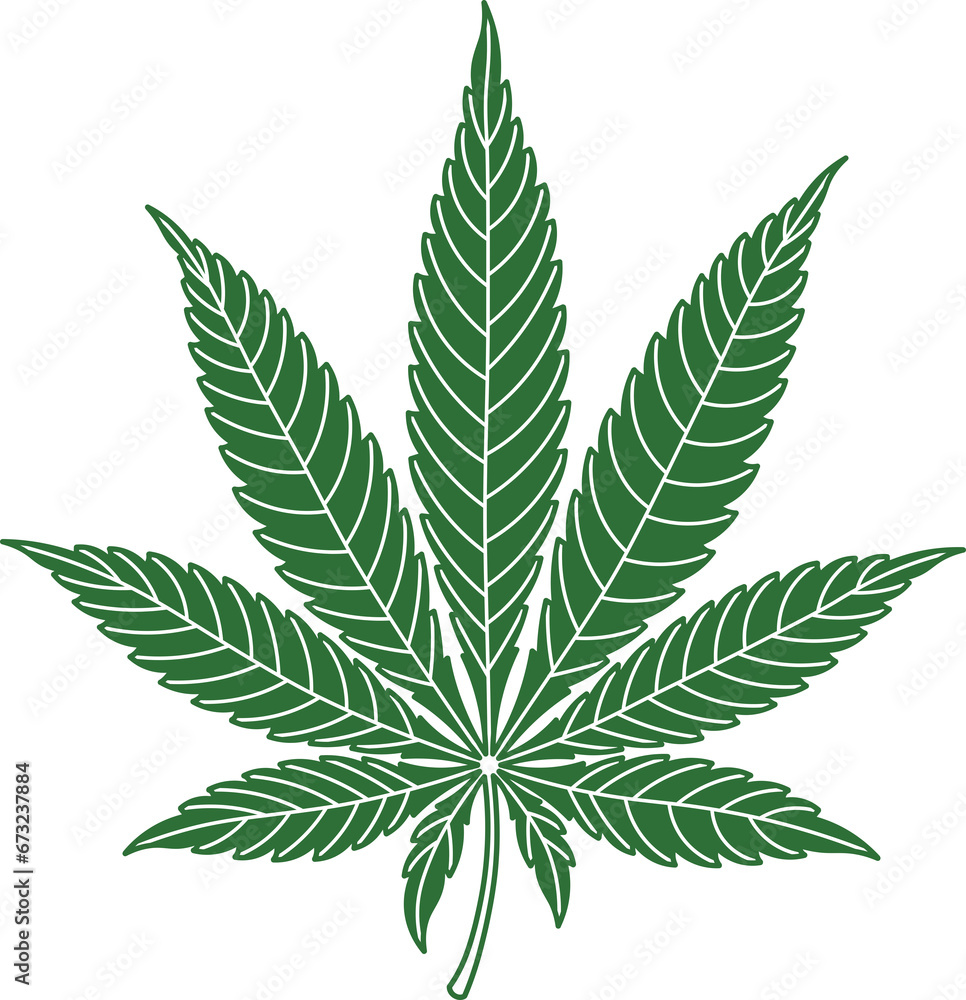 Cannabis leaf illustration clip art. Transparent background hand drawn marihuana icon design icon template blank.  - obrazy, fototapety, plakaty 