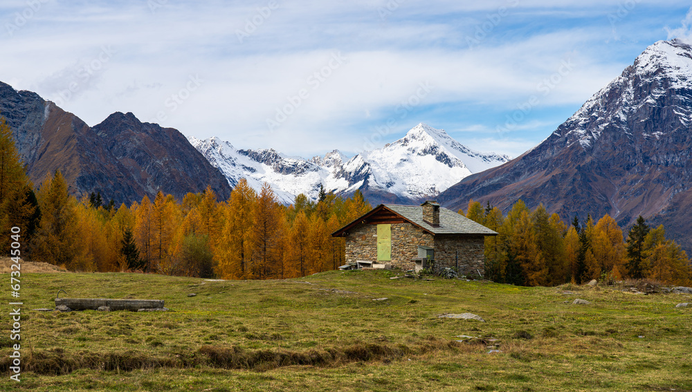 Foliage all'Alpe Palù, Valmalenco, in autunno