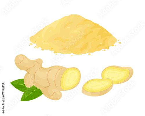 Dry ginger powder heap, ginger root whole and sliced. isolated on white. Vector cartoon flat illustration spicy spice seasoning. 