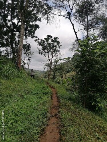 The lush green valleys around the foot hills of Mount Kilimanjaro in Tanzania, Africa photo