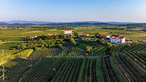 Gredič vineyard in region country photo