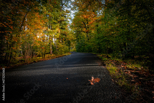 Droga pośród jesiennych kolorów.Okolice Karpnik (Dolny Śląsk)