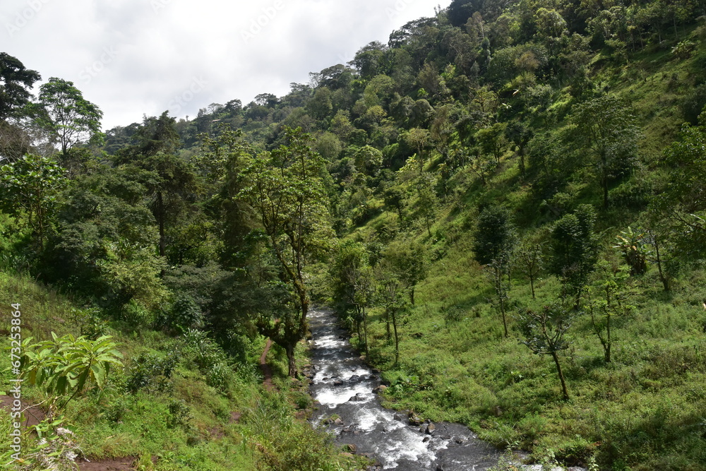 The green landscapes on and around the foot hills of Mount Kilimanjaro in Africa The green landscapes on and around the foot hills of Mount Kilimanjaro in Africa