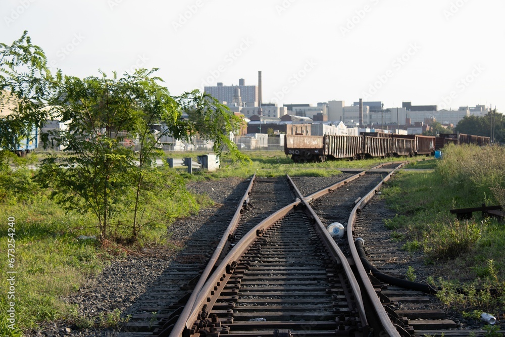 Scenic rural landscape with an abandoned railroad track surrounded by an array of trees Scenic rural landscape with an abandoned railroad track surrounded by an array of trees