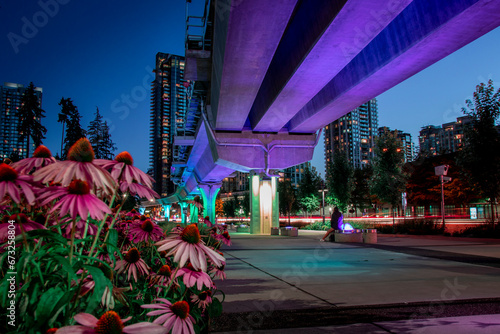 Metropolitan area is illuminated with vibrant lighting and features flowers