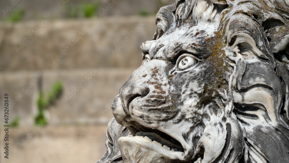 Closeup of stone lion sculpture of Castillo de Peles, Rumania Closeup of stone lion sculpture of Castillo de Peles, Rumania