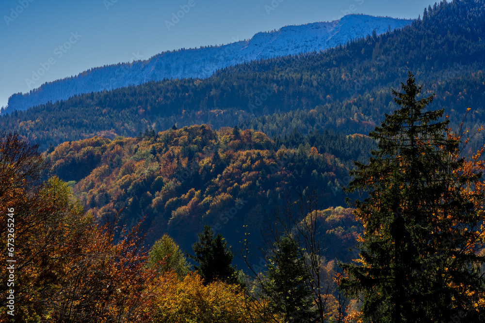 Fototapeta premium Panorama ausblick im Herbst mit blick auf die bunten bäume und die alpen