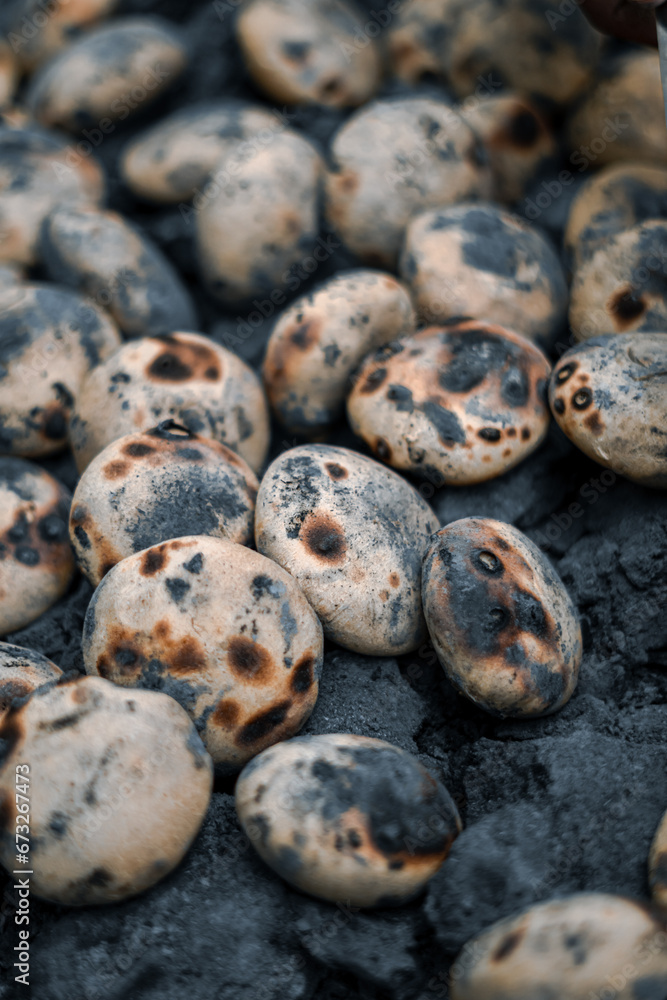 Litti Chokha baked on fire coal indian traditional food Litti Chokha baked on fire coal indian traditional food