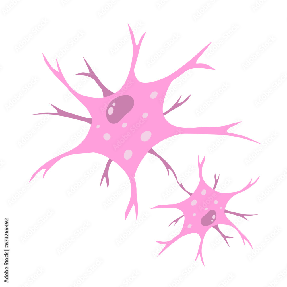 Neuron cell. Brain activity and dendrites. Membrane and the nucleus. Medical Concept of memory and connection. Educational illustration isolated on white Neuron cell. Brain activity and dendrites. Membrane and the nucleus. Medical Concept of memory and connection. Educational illustration isolated on white