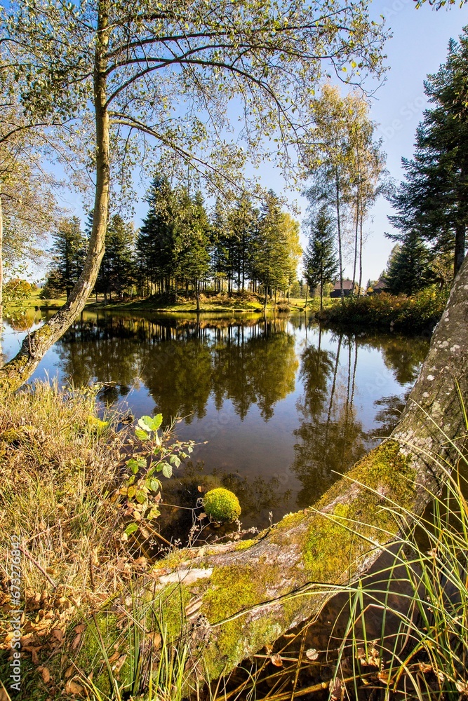 Obraz premium Mille étangs