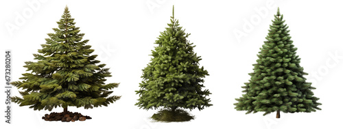 Collection of Christmas fir trees isolated on white background