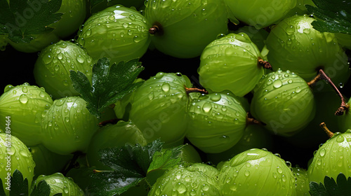 Water Drops Fresh Organic Gooseberries on Defocused Background