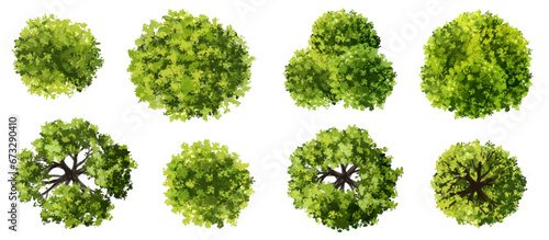 Vector watercolor green tree or forest top view isolated on white background for landscape plan and architecture drawing,plant for environment or garden,botanical element for exterior layout