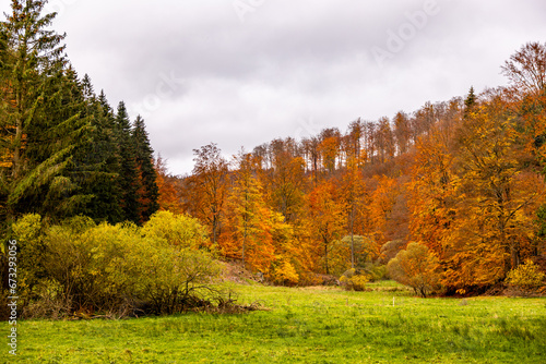 Fototapeta Naklejka Na Ścianę i Meble -  Herbstliche Wanderung durch den Spittergrund bei Tambach-Dietharz zum Wasserfall  - Thüringer Wald - Thüringen - Deutschland