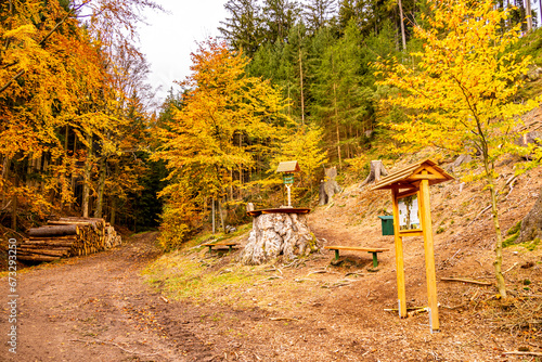 Herbstliche Wanderung durch den Spittergrund bei Tambach-Dietharz zum Wasserfall  - Thüringer Wald - Thüringen - Deutschland photo