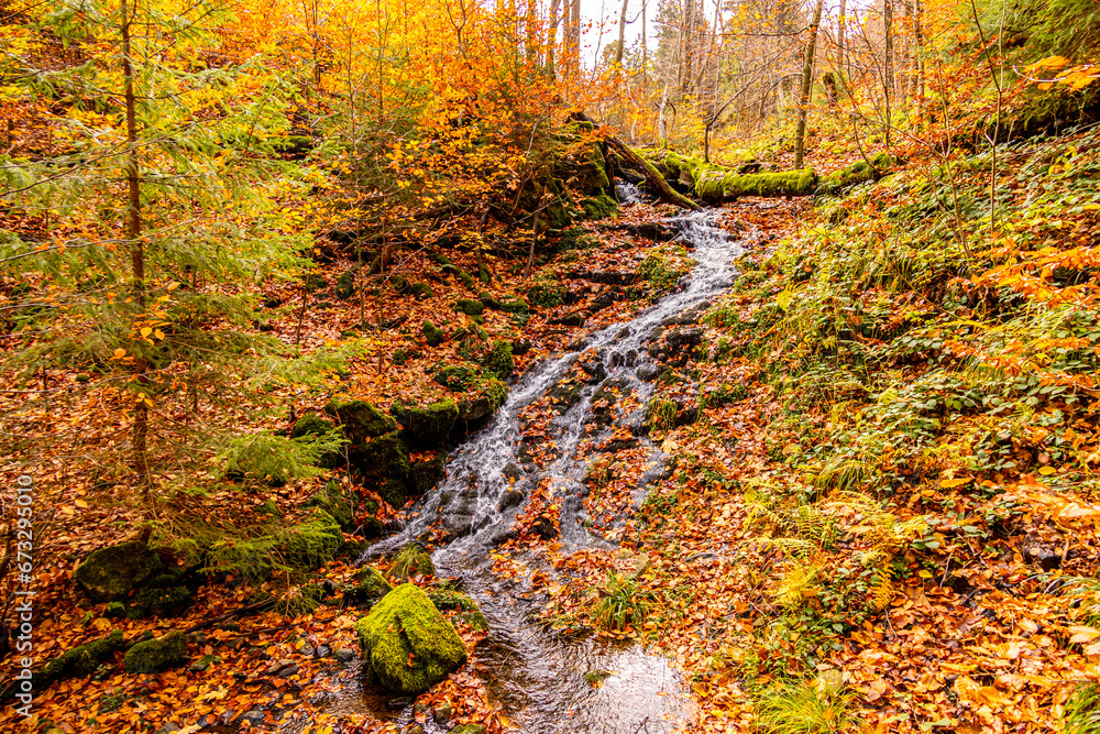Herbstliche Wanderung durch den Spittergrund bei Tambach-Dietharz zum Wasserfall  - Thüringer Wald - Thüringen - Deutschland