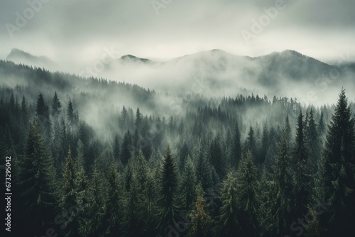 Misty forest in a bleak landscape with foggy mountains and fir trees. Generative AI © Darian