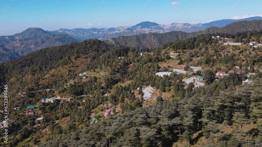 4k Aerial view of Cedrus Deodara (Himalayan Denodar) trees with the panoramic view of a deep valley and beautiful horizon line. Drone view of clear blue sky and Cedar Deodar forest on a sunny day. 4k Aerial view of Cedrus Deodara (Himalayan Denodar) trees with the panoramic view of a deep valley and beautiful horizon line. Drone view of clear blue sky and Cedar Deodar forest on a sunny day.