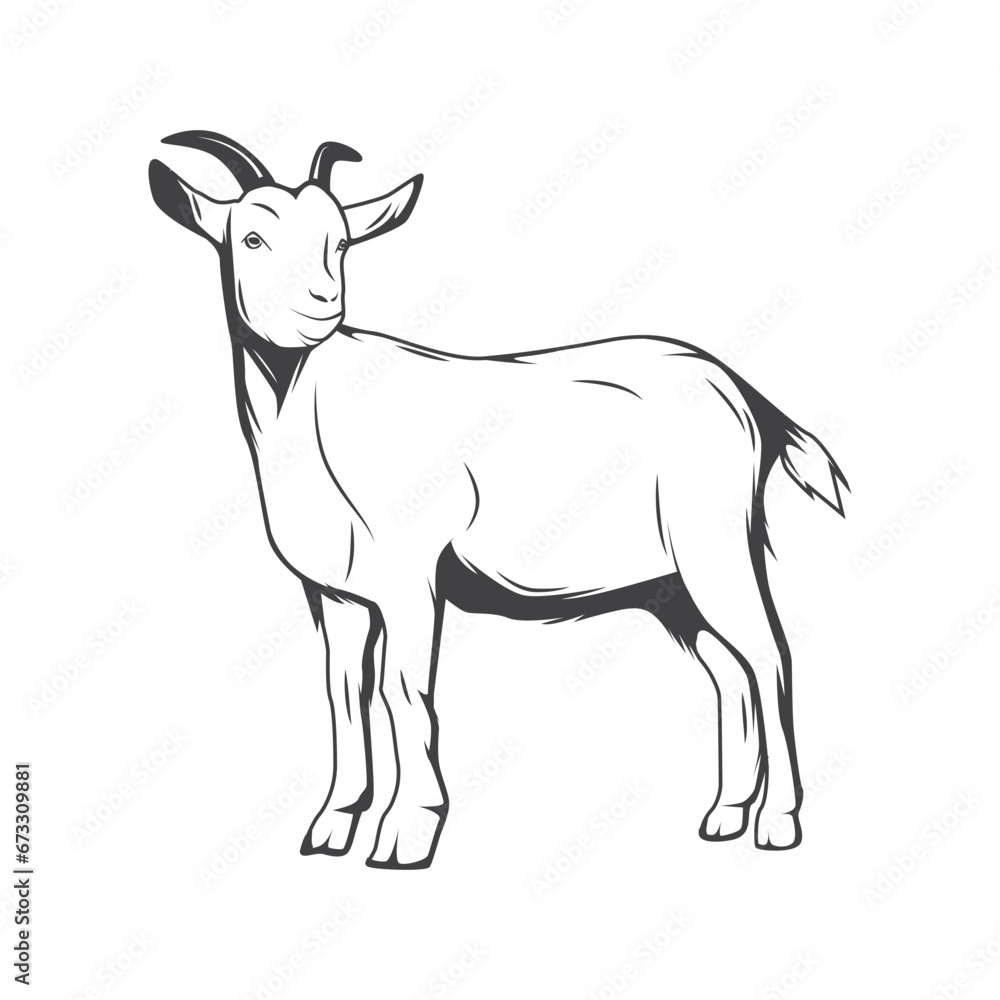 Fototapeta premium Retro Goat Vector