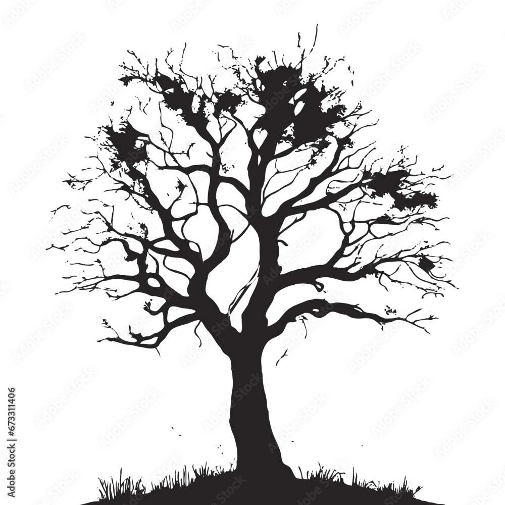 silhouette of big tree in summer on isolated white background silhouette of big tree in summer on isolated white background