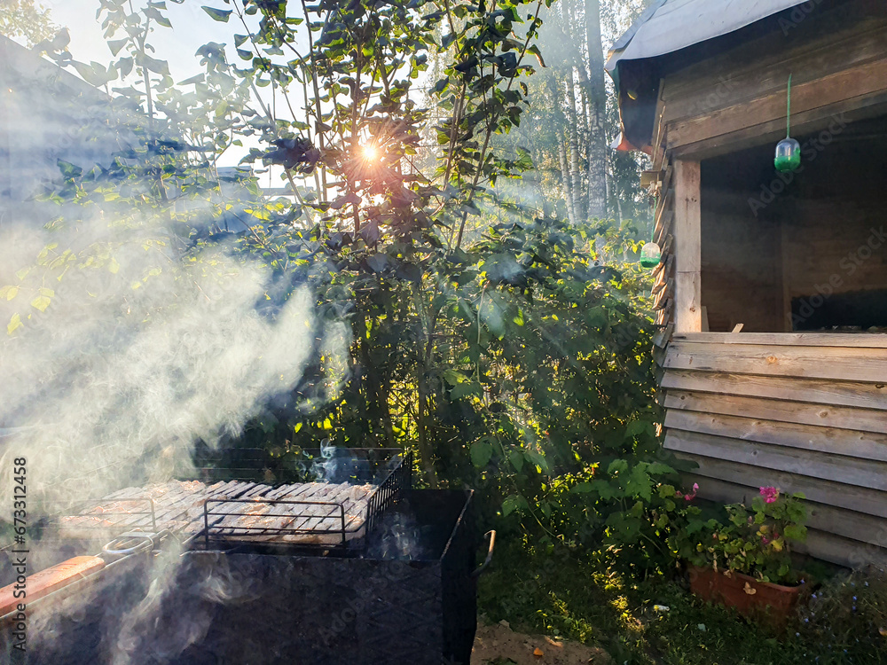 meat is fried on a grill in the open air. the sun's rays break through the leaves of bushes and trees, illuminating the smoke from the barbecue