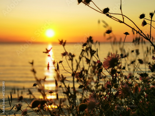 Sonnenuntergang 7th Heaven mit Blumen 2