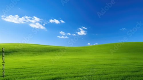 Fresh green grass lawn with blue sky.