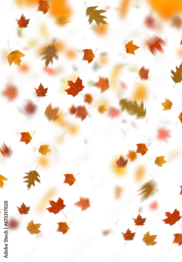 yellow leaves. autumn leaves isolated on white. autumn leaves border. Falling  Maple Leaves PNG , Flying Leaves, Leaves PNG. Autumn leaves png 