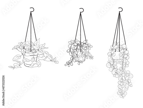 hand drawn hanging house potted plants