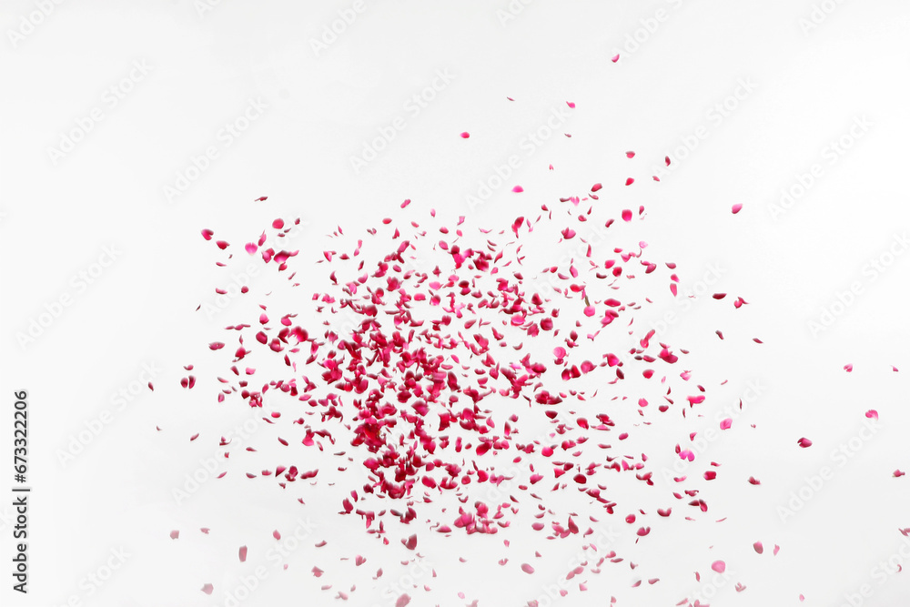 red paint splashes collide isolated Red splashes on white background . Red Rose petals Falling Png red paint splashes collide isolated Red splashes on white background . Red Rose petals Falling Png