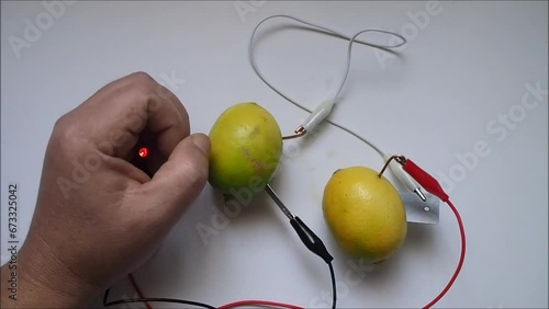 Lighting LED lamps with lemon batteries connected in serial.  photo