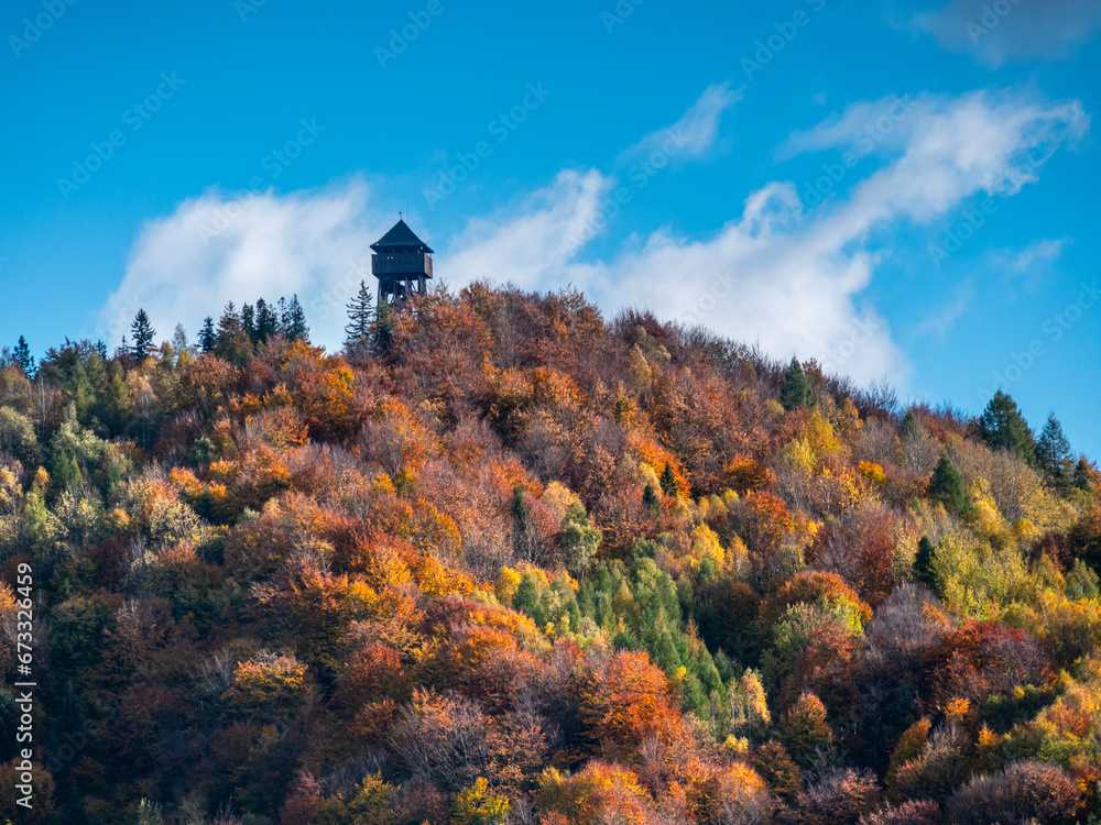 Fototapeta premium Koziarz - Beskid śadecki - widok ze szlaku z Tylmanowej