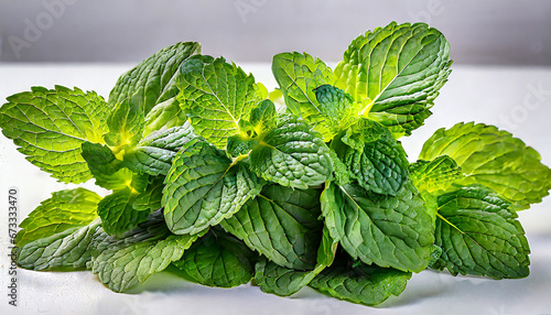 Fresh mint on white background. Mint leaves isolated. Melissa, peppermint close up.