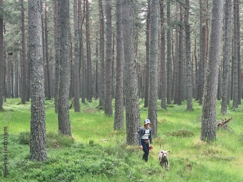 Weimaraner dog and hikers in the forests and mountains and lakes around Glenmore in the Cairngorm National Park in the highlands of Scotland
