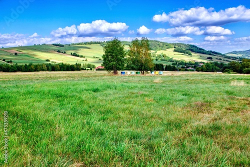 Alpine meadows in the Carpathians  Poland. View of an apiary with colorful beehives.
