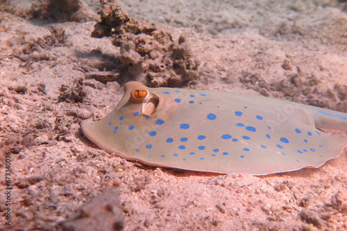 Red Sea - Marsa Alam - dream lagoon