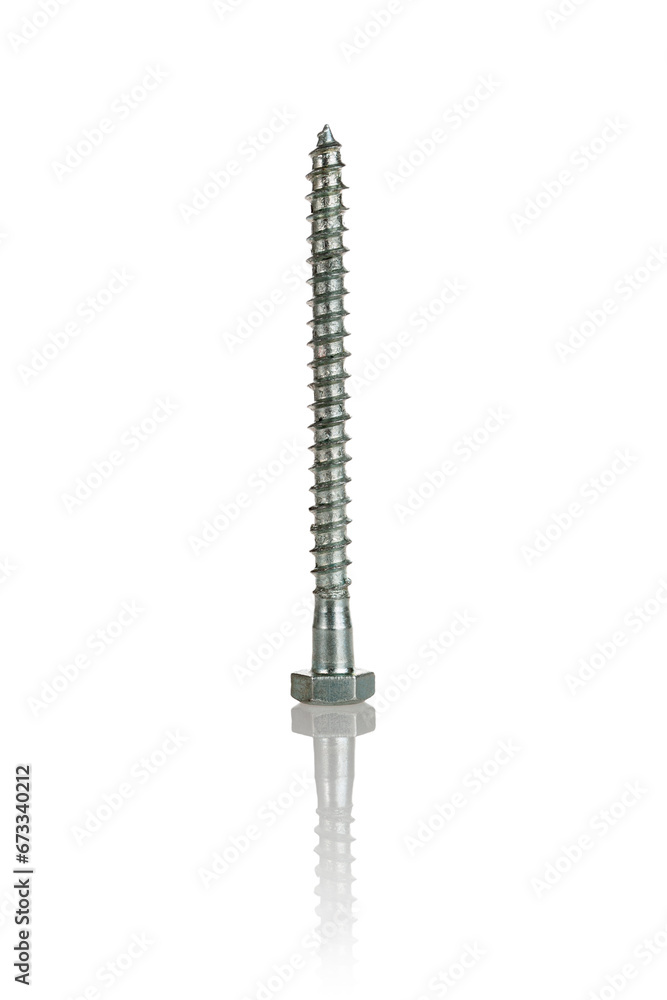 Bolt screw self-tapping screw for connecting fastener elements isolated on a white background