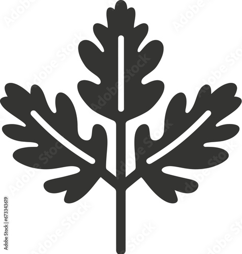 Coriander Icon