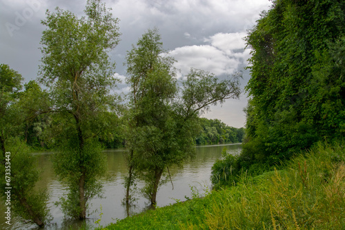 The Tisza river in early Summer in South Hungary