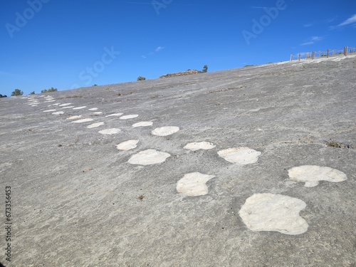 Traces de pas de dinosaures