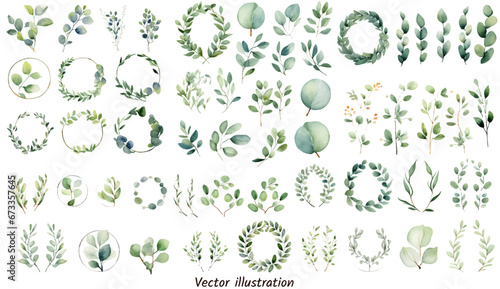 Exotic plants leaf set on an isolated white background, watercolor vector illustration. Wedding frame elements collection. Elegant foliage design for wedding, card, invitation, greeting  © Vector Market