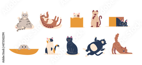 Fototapeta Naklejka Na Ścianę i Meble -  Playful, Mischievous Cats With Quirky Expressions, Engaging In Comical Antics. Cartoon Feline Characters Relaxing