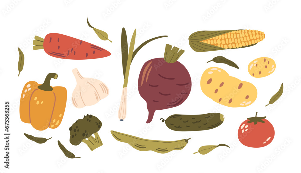Fresh Vegetable Set. Carrot, Bell Pepper, Greens and Tomato. Cucumber, Broccoli, Beetroot and Potato with Soy Bean, Corn Fresh Vegetable Set. Carrot, Bell Pepper, Greens and Tomato. Cucumber, Broccoli, Beetroot and Potato with Soy Bean, Corn