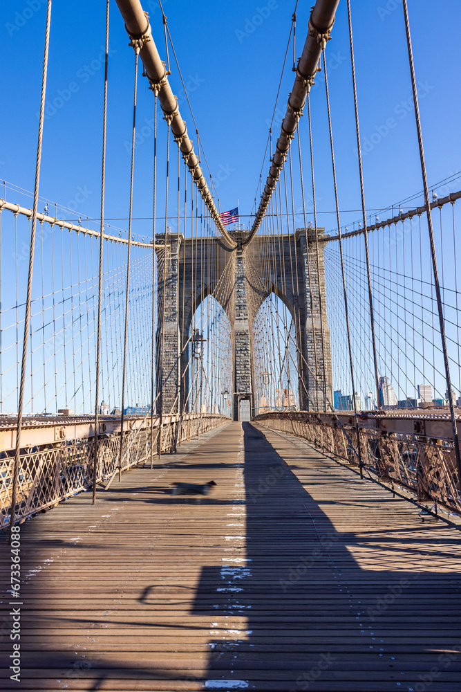 Fototapeta premium The Brooklyn bridge