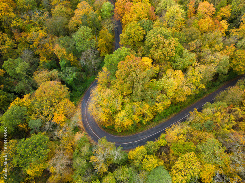 Aerial view of a winding forest road between the colorful autumn trees