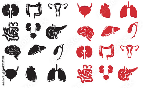 Human internal organs. Vector sketch isolated illustration. Hand drawn doodle anatomy symbols set.Reproductive system, lungs,liver,intestine,stomach,pancreas,kidney,uterus,intestine,galbladder	