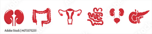 Human internal organs. Vector sketch isolated illustration. Hand drawn doodle anatomy symbols set.Reproductive system, lungs,liver,intestine,stomach,pancreas,kidney,uterus,intestine,galbladder	
