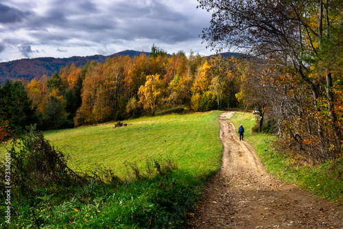 Fototapeta Naklejka Na Ścianę i Meble -  Beskid Śądecki - Jeień na szlaku Tylmanowa